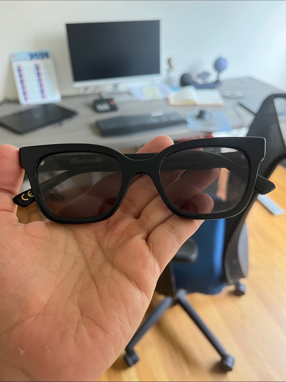 Madewell Sydney Sunglasses